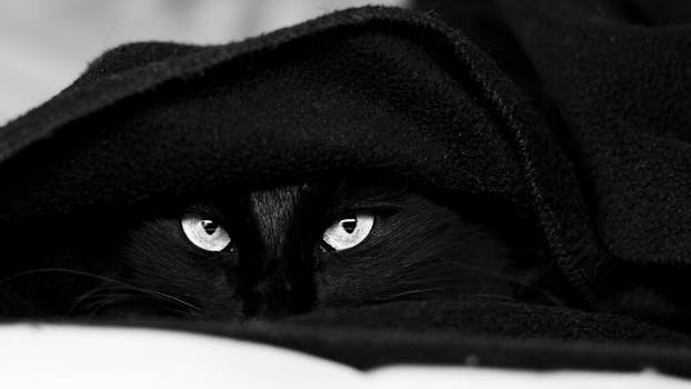 Reasons to Disable Router Ping Responses