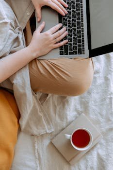 Software and User Interface