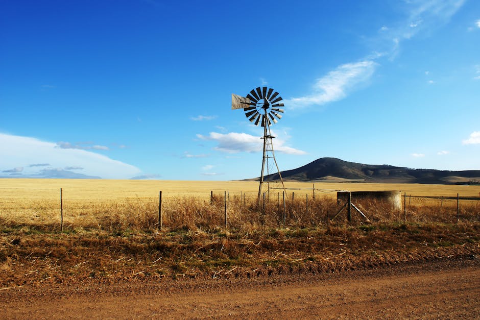 Country