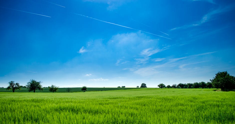 Countryside