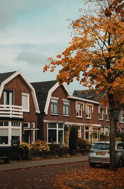 Suburb