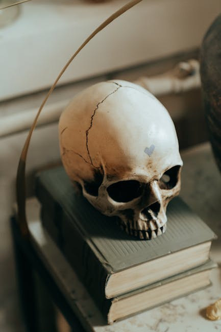Appendicular Skeleton