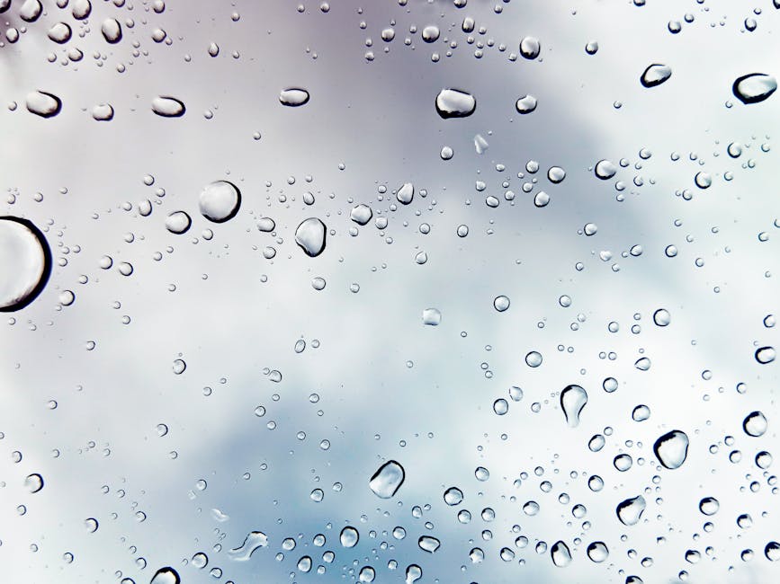 Wet