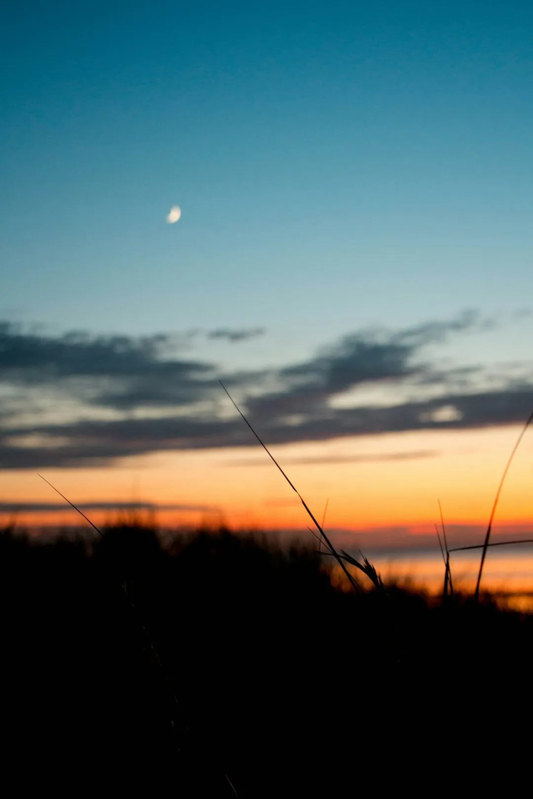 Chatham Bars Inn — classic seaside hotel experience
