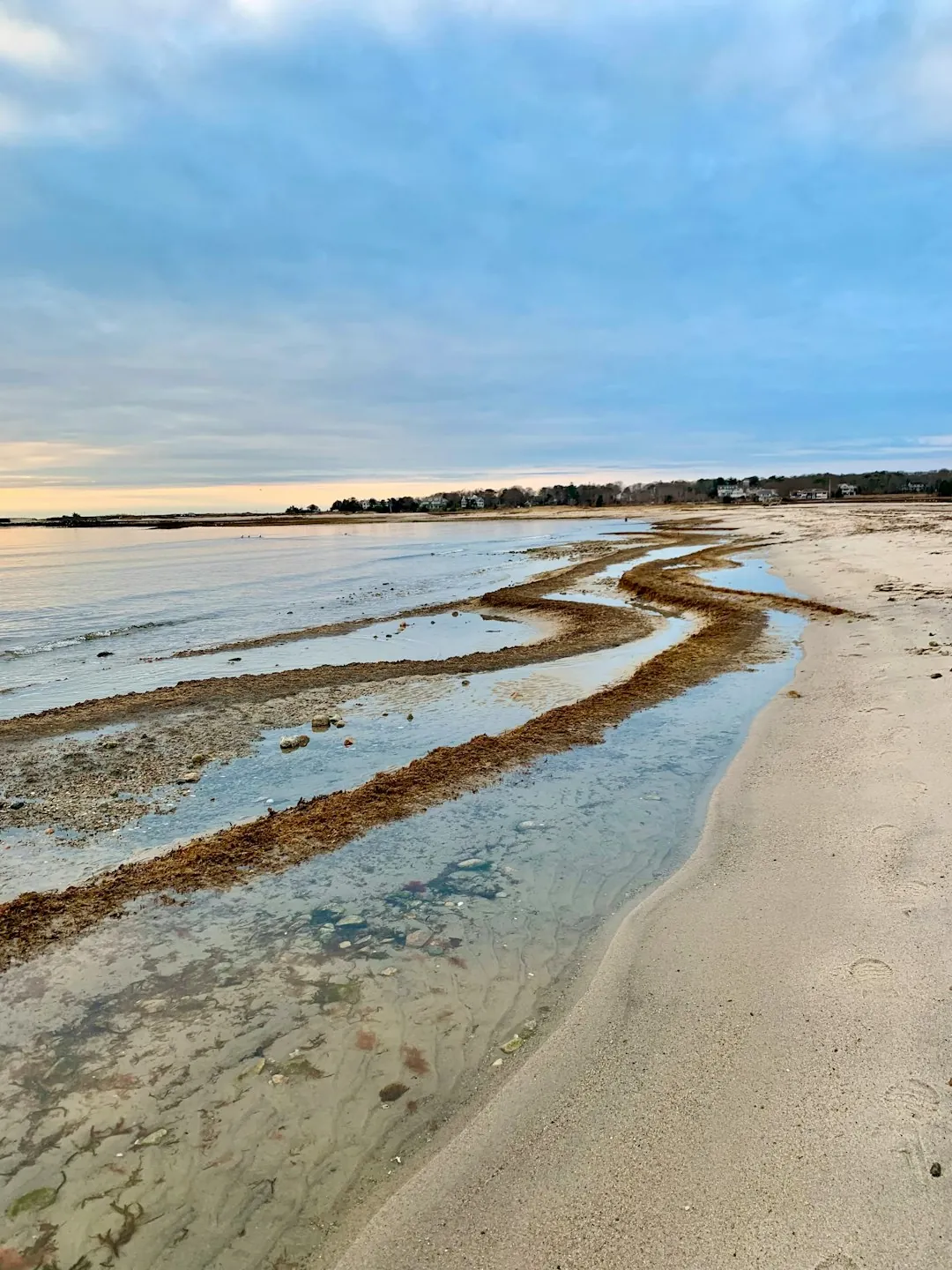 Sandy Neck Beach in Barnstable — miles of shoreline