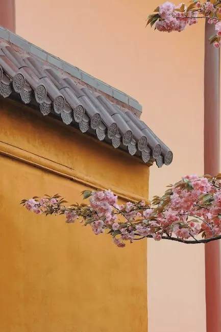 Christchurch Botanic Gardens: southern-hemisphere sakura stroll