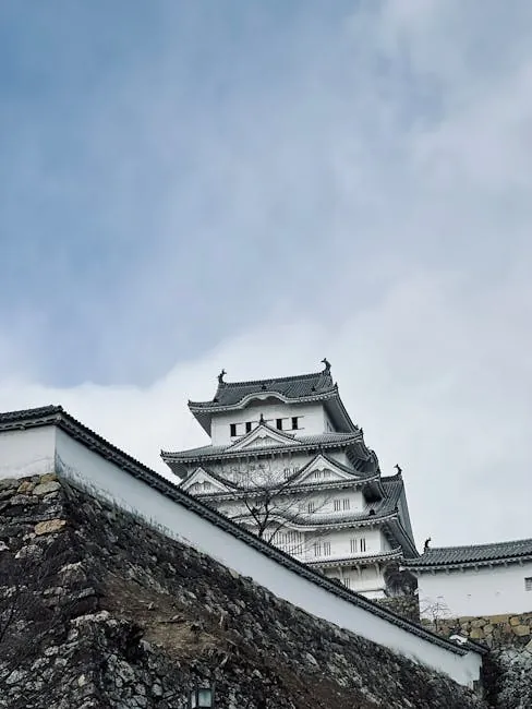 Himeji Castle grounds: fortress framed by blossoms