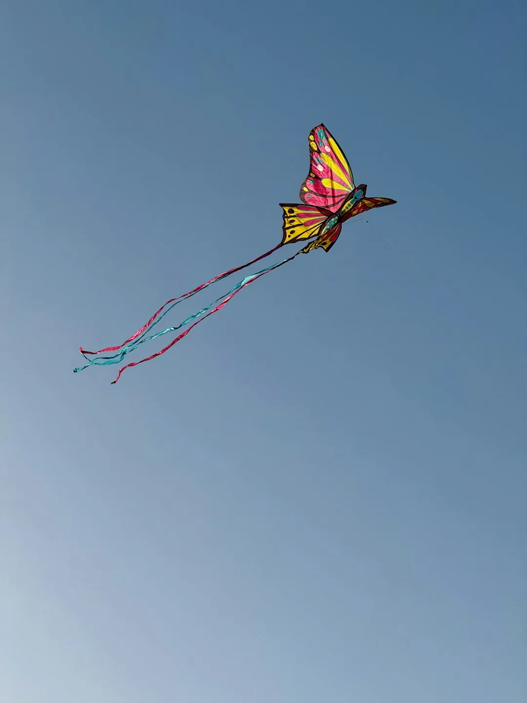 Blossom Kite Festival at the National Mall