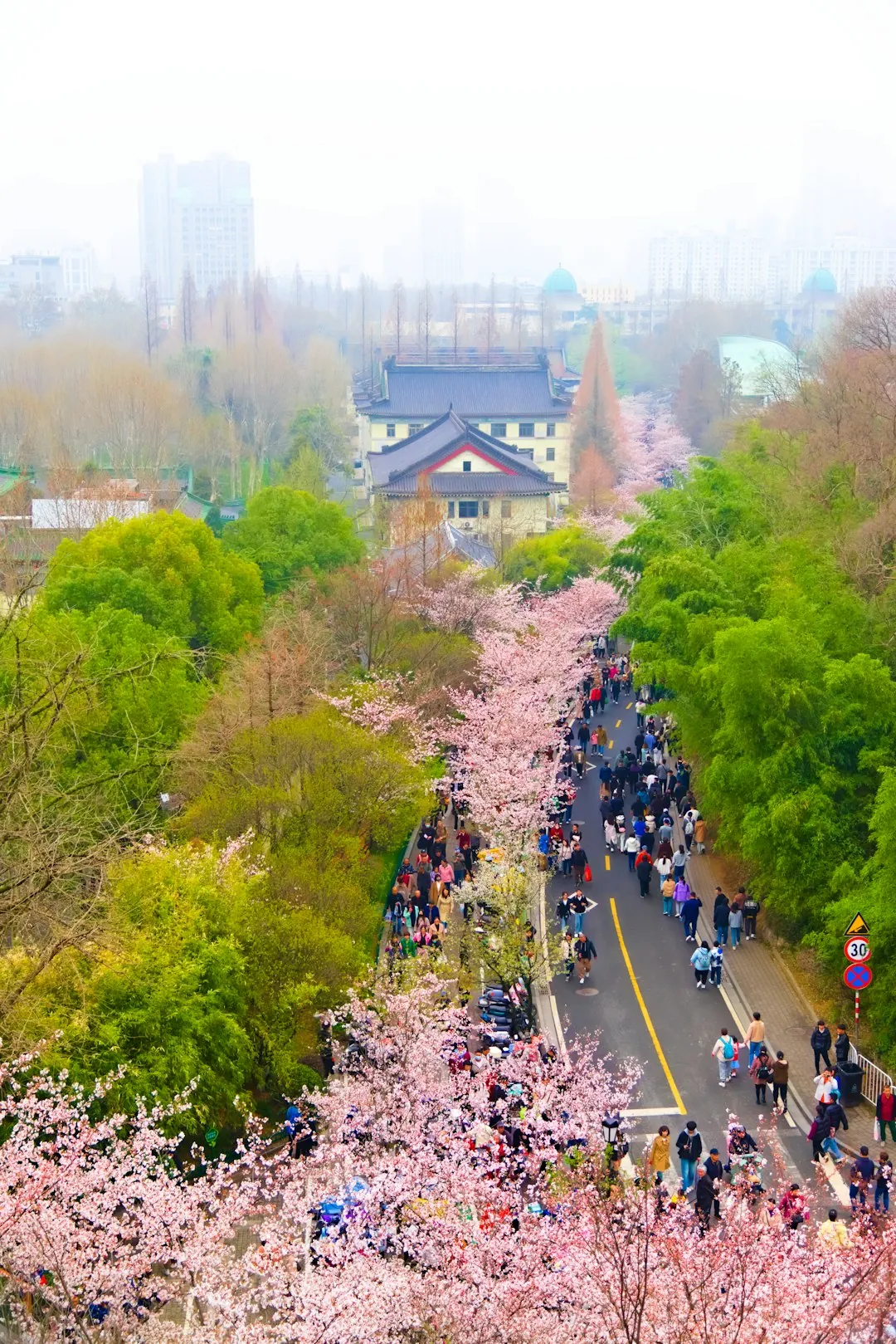 National Cherry Blossom Festival Parade on Constitution Avenue
