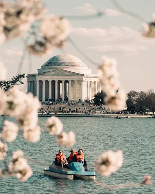 Paddle boating on the Tidal Basin at sunset