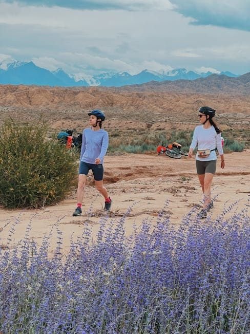 Cycling Sault to Aurel through lavender lanes