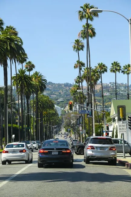 Driving the Route de la Lavande: scenic lavender drive